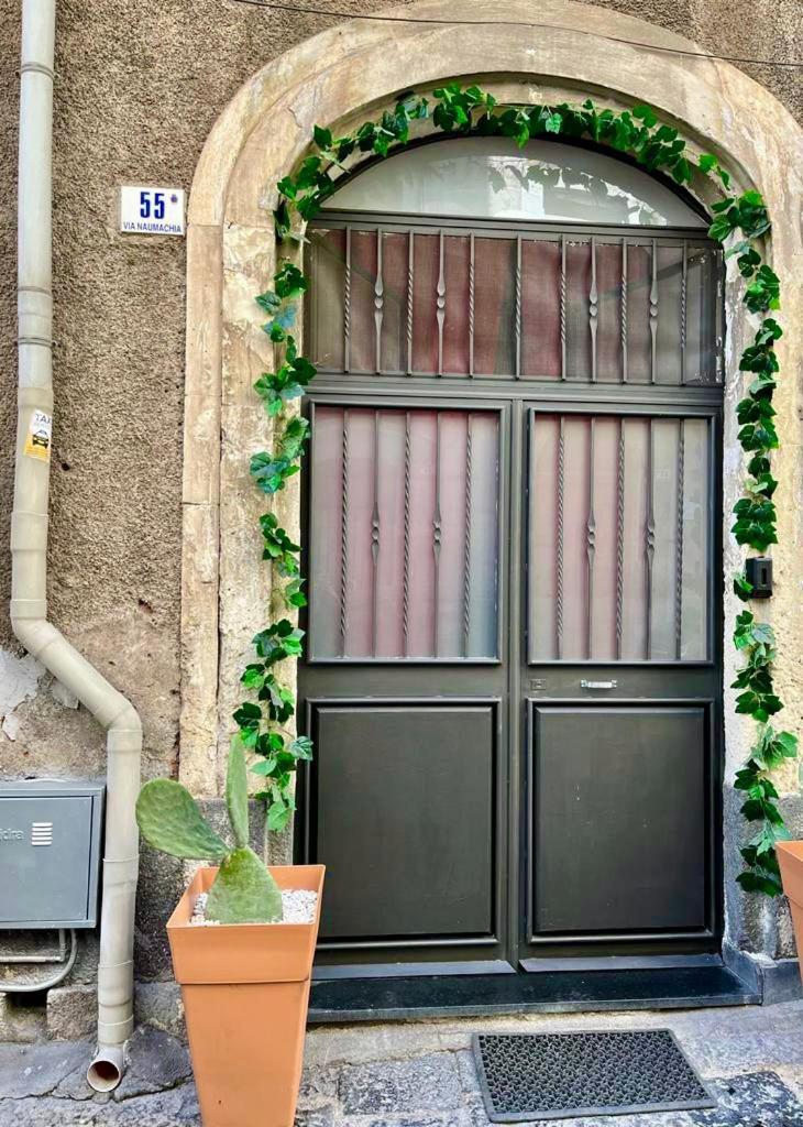 Ursino Holiday Apartment CTA Eksteriør billede